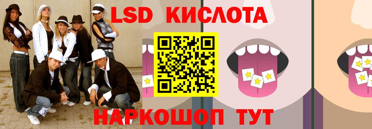Галлюциногенные грибы Кулебаки